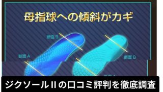 ジクソールⅡ 口コミ評判